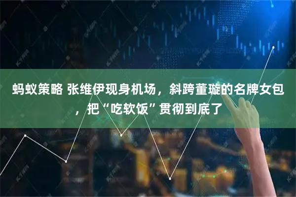 蚂蚁策略 张维伊现身机场，斜跨董璇的名牌女包，把“吃软饭”贯彻到底了