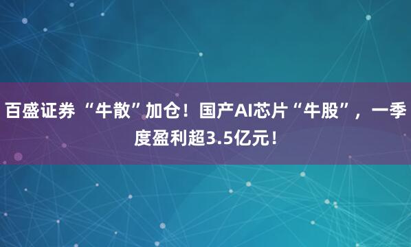 百盛证券 “牛散”加仓！国产AI芯片“牛股”，一季度盈利超3.5亿元！