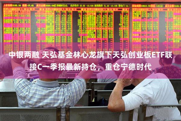中银两融 天弘基金林心龙旗下天弘创业板ETF联接C一季报最新持仓，重仓宁德时代
