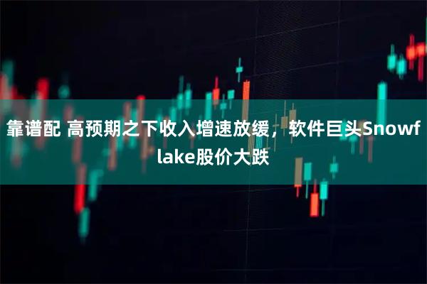 靠谱配 高预期之下收入增速放缓，软件巨头Snowflake股价大跌