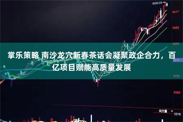 掌乐策略 南沙龙穴新春茶话会凝聚政企合力，百亿项目赋能高质量发展